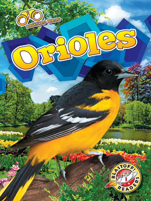 Cover of Orioles